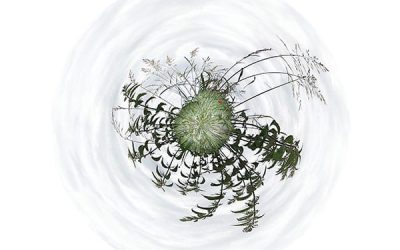 4 Isabelle Van Pelt