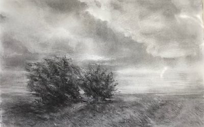 36 Laurence Hollanders de Ouderaen