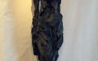 38 Véronique Choppinet