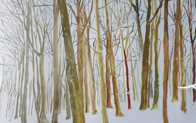 40 Joseph Vanderhasselt