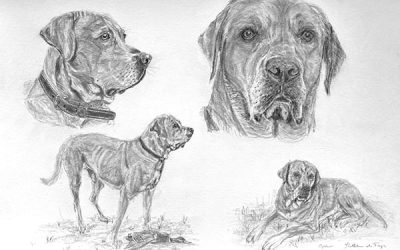 59 Kathleen de Fays