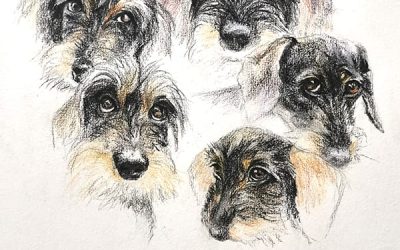 59 Marie de Limelette