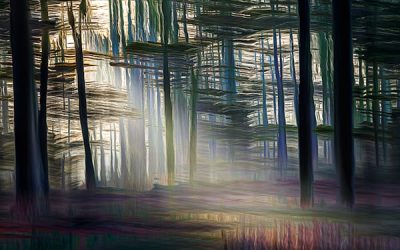 66 Patrick de Lannoy