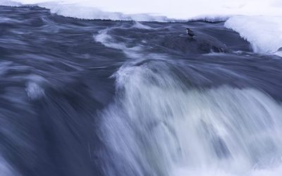 66 Stéphane Dewaels