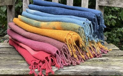 67 Kristin van Passel