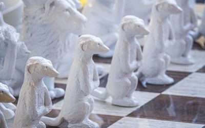 96 Stéphanie Van Beneden