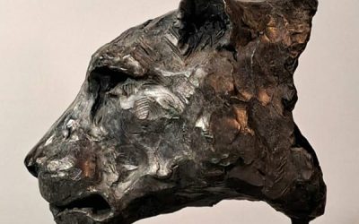 97 François d’Otreppe