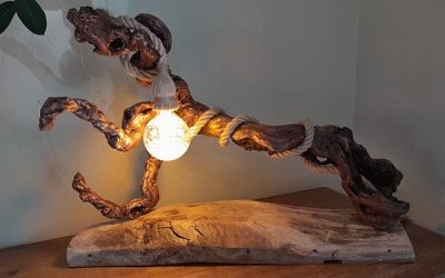 101 Jean-François Ghys